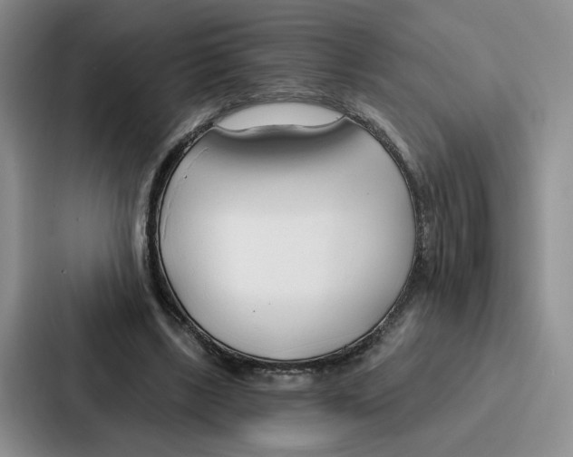 X0000086900443200705141646