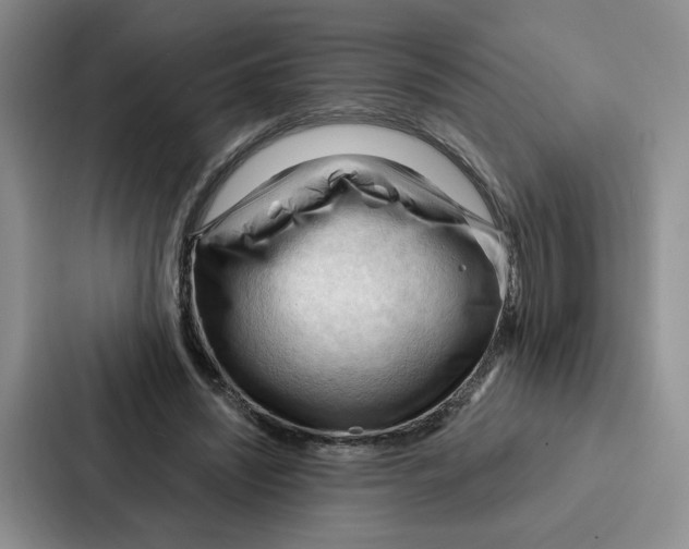 X0000086900444200705141646