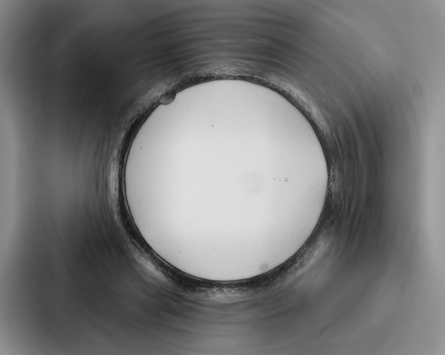 X0000086900445200705141646