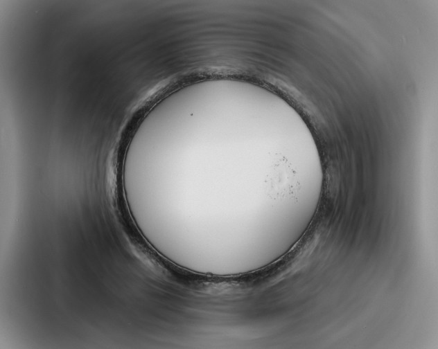 X0000086900446200705141646