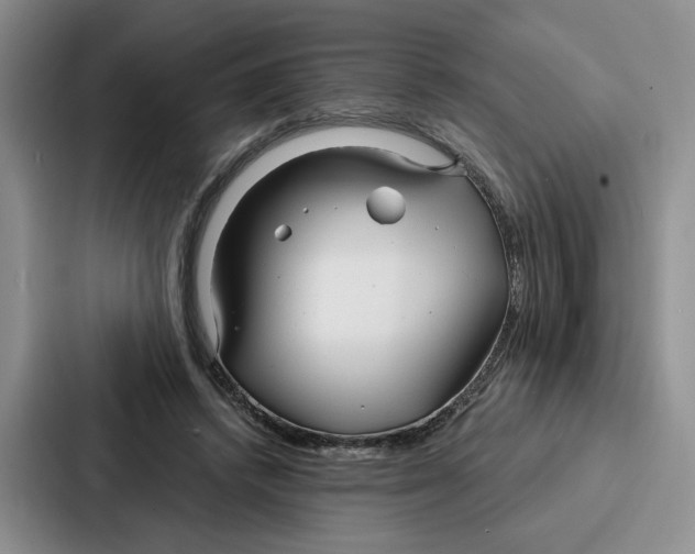 X0000086900448200705141646