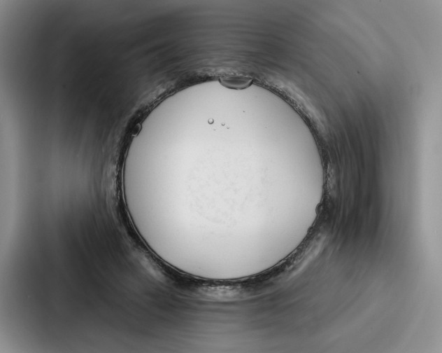 X0000086900449200705141646