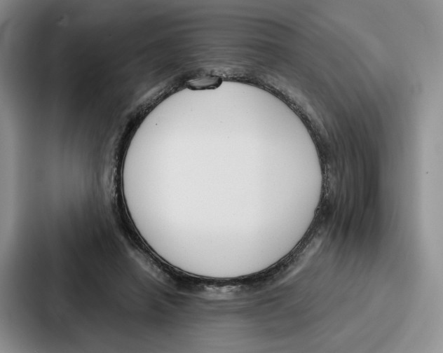 X0000086900450200705141646