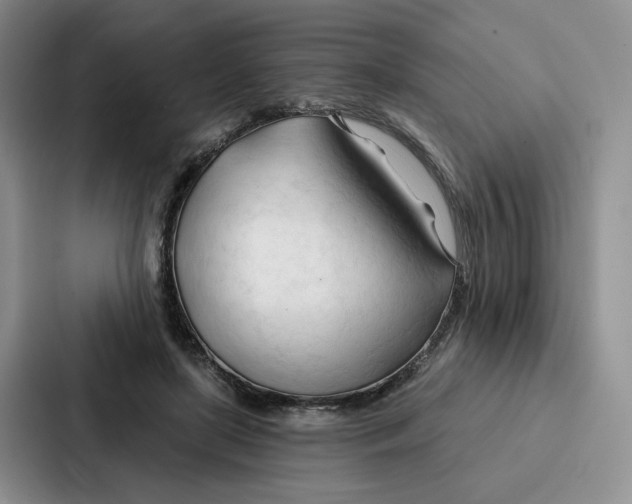 X0000086900451200705141646