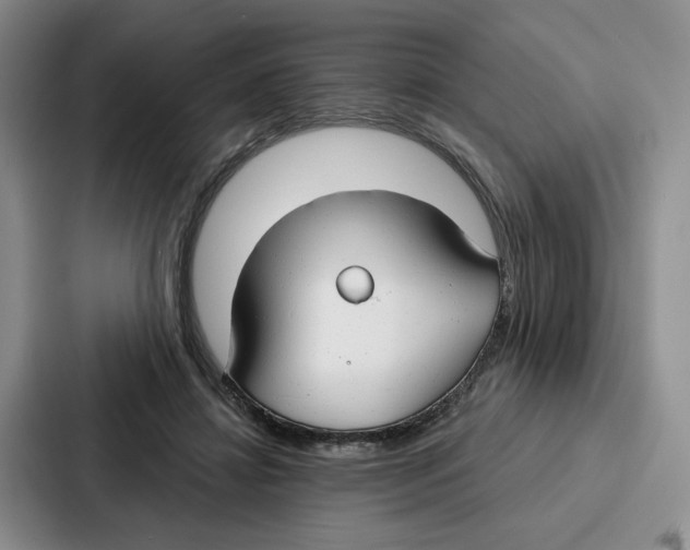 X0000086900452200705141646