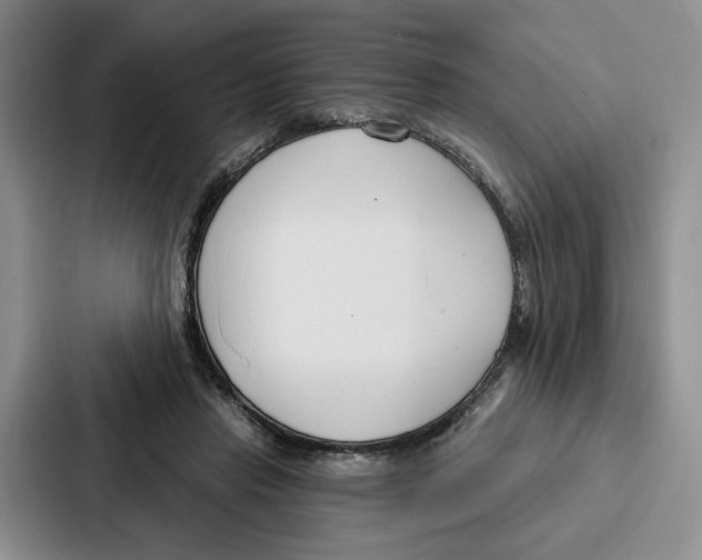 X0000086900453200705141646