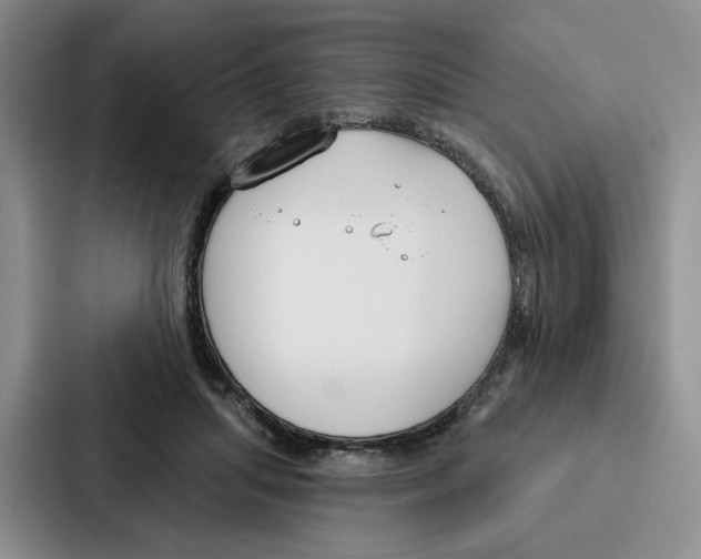 X0000086900455200705141646