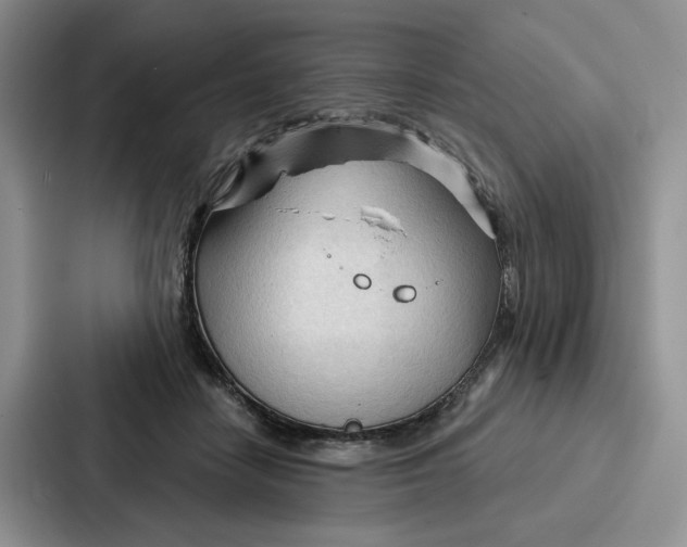 X0000086900458200705141646