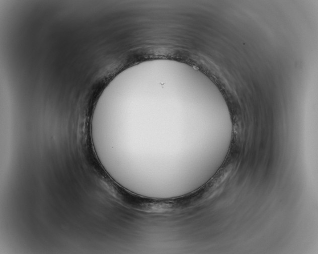 X0000086900462200705141646