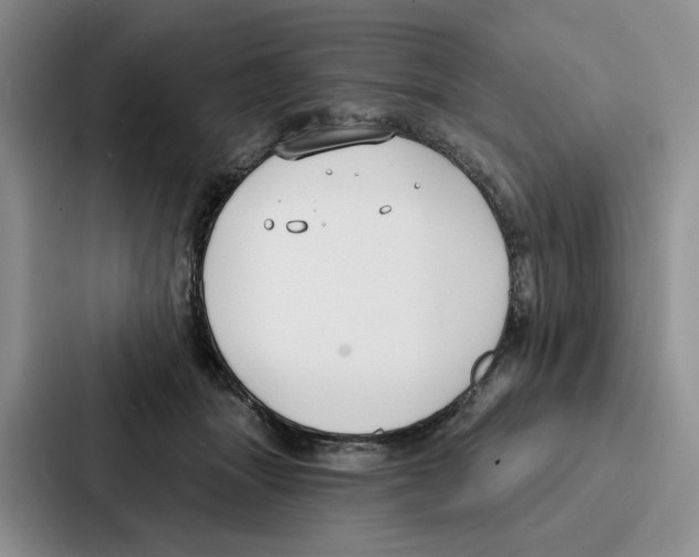 X0000086900463200705141646