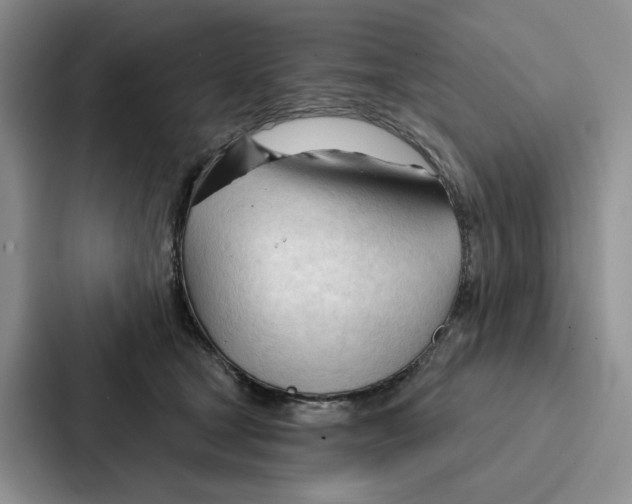 X0000086900465200705141646