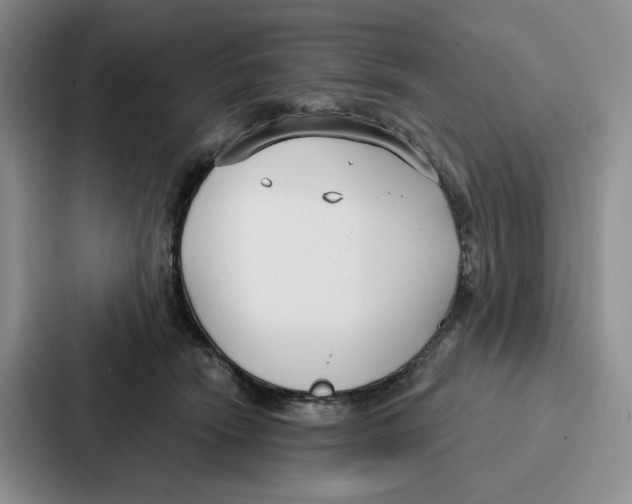 X0000086900466200705141646