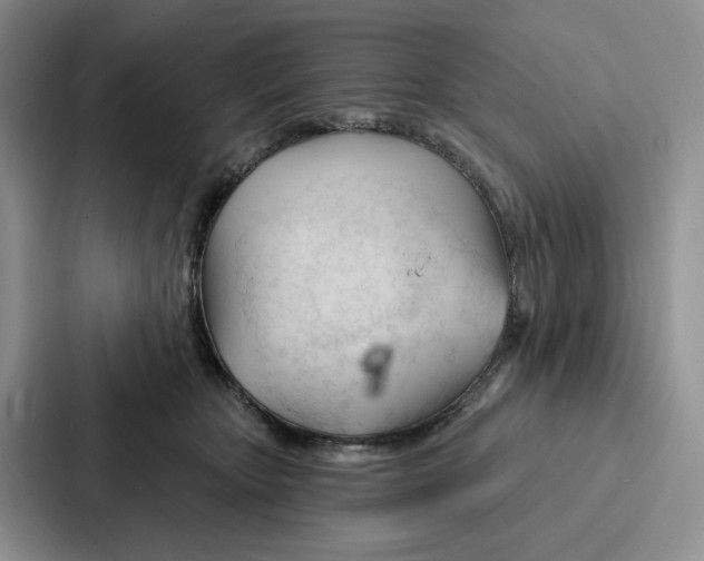 X0000086900467200705141646