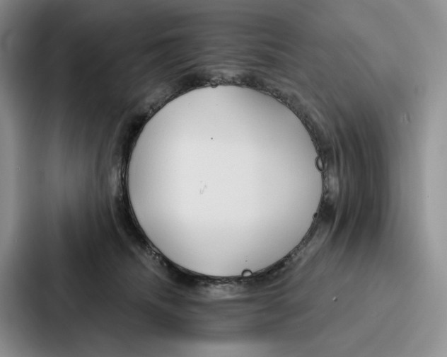 X0000086900468200705141646