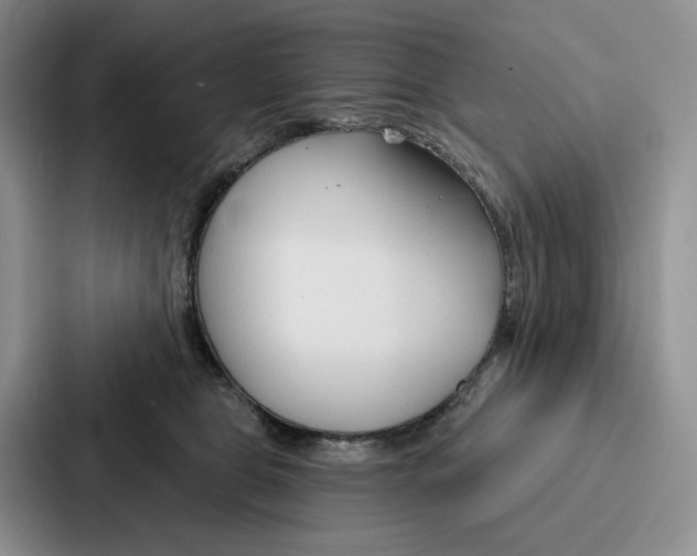 X0000086900469200705141646