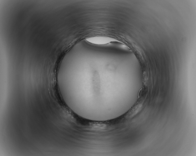 X0000086900471200705141646