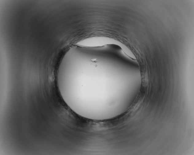 X0000086900472200705141646