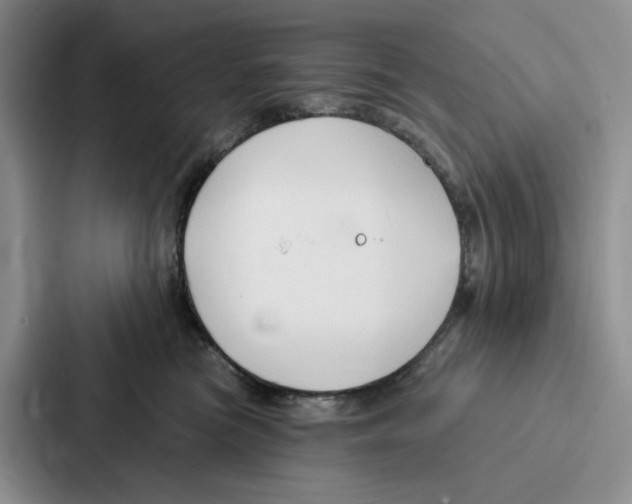 X0000086900473200705141646