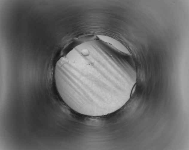 X0000086900475200705141646