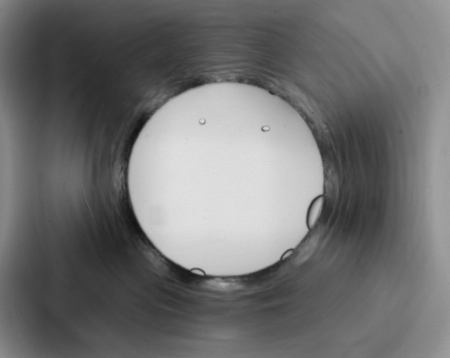 X0000086900477200705141646