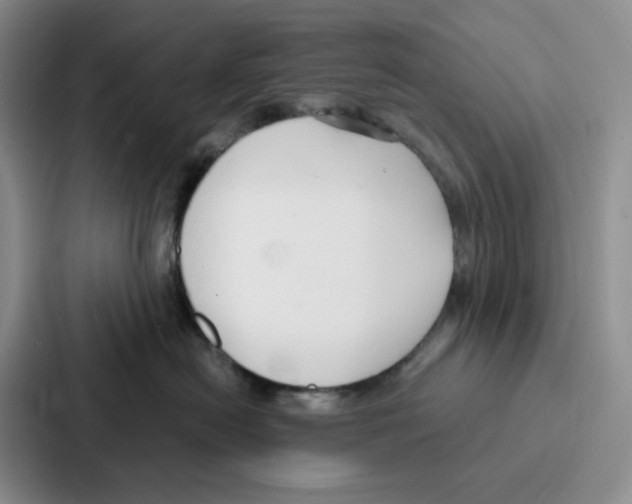 X0000086900478200705141646