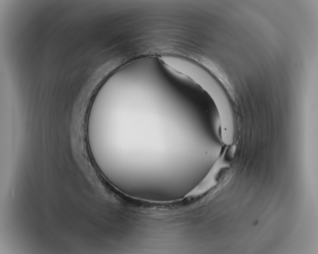 X0000086900481200705141645