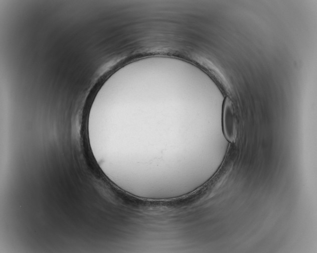 X0000086900483200705141645