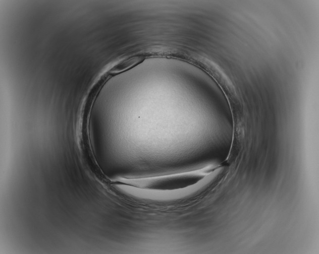 X0000086900484200705141645