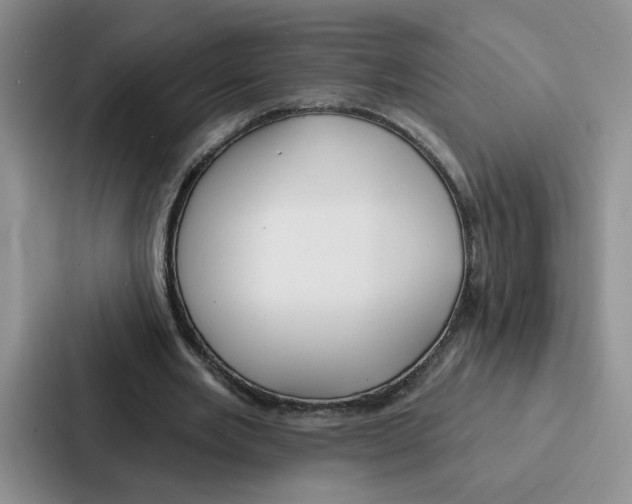 X0000086900485200705141645