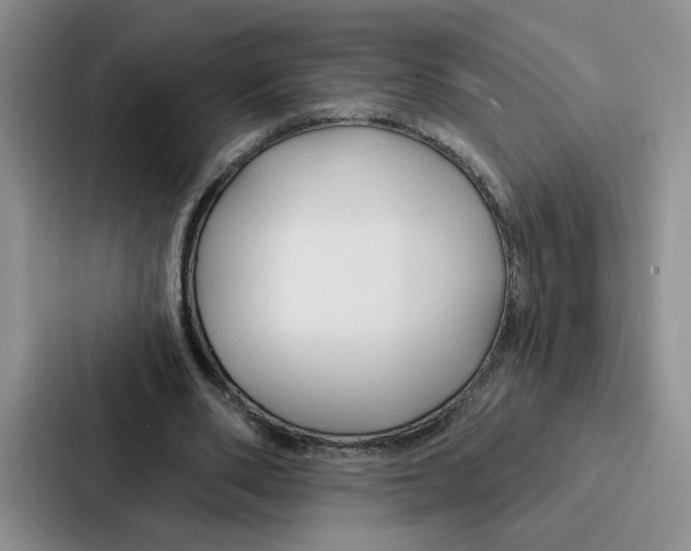 X0000086900486200705141645