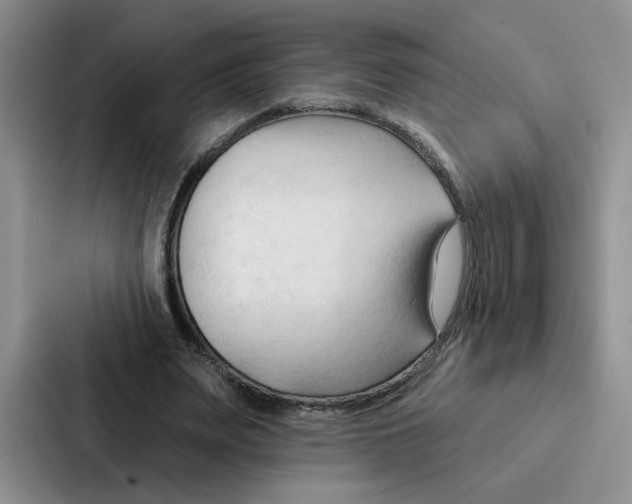 X0000086900487200705141645