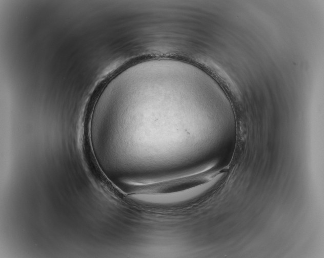 X0000086900488200705141645