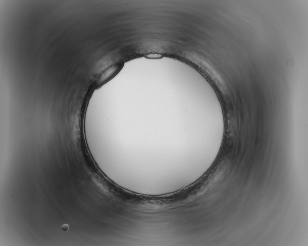 X0000086900489200705141645