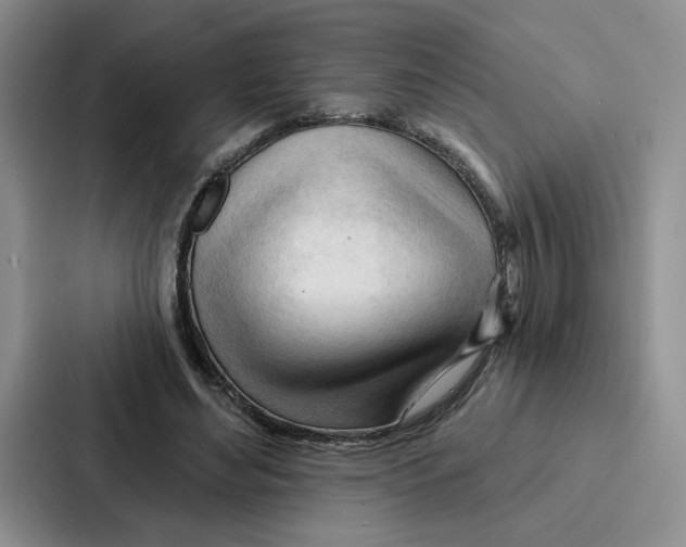 X0000086900492200705141645