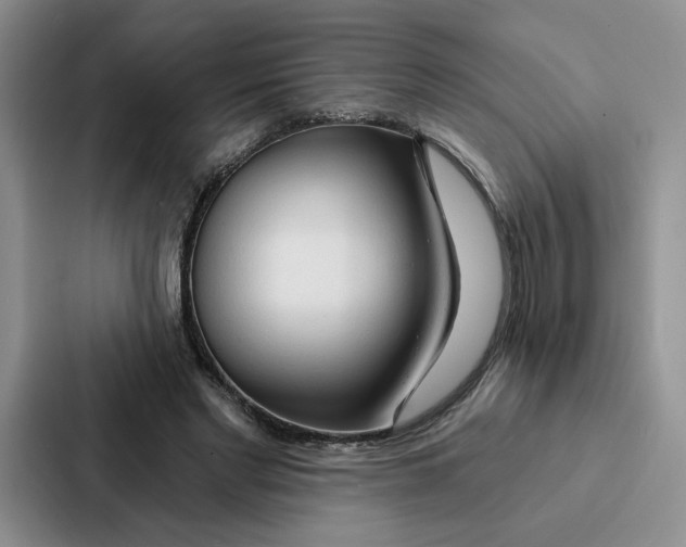 X0000086900493200705141645