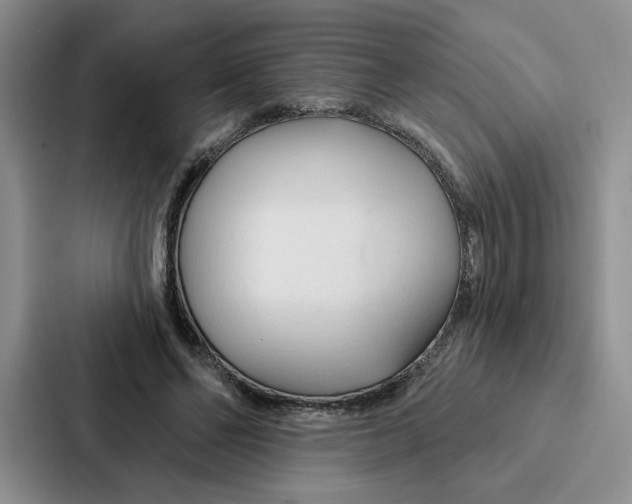 X0000086900494200705141645