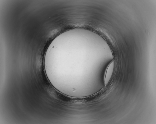 X0000086900495200705141645