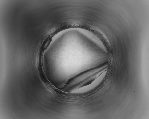 X0000086900496200705141645