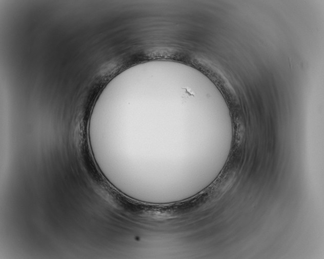 X0000086900498200705141645