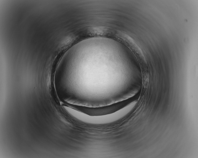 X0000086900500200705141645