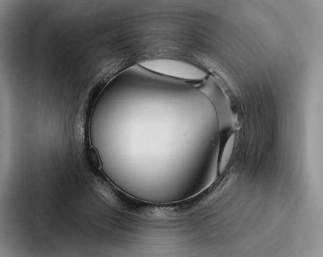 X0000086900501200705141645