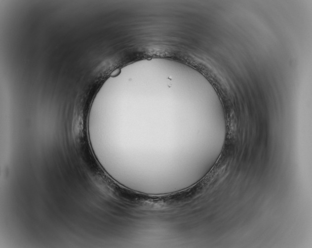 X0000086900502200705141645