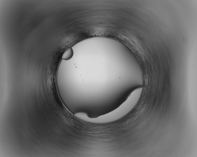 X0000086900503200705141645