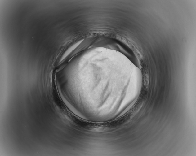 X0000086900504200705141645