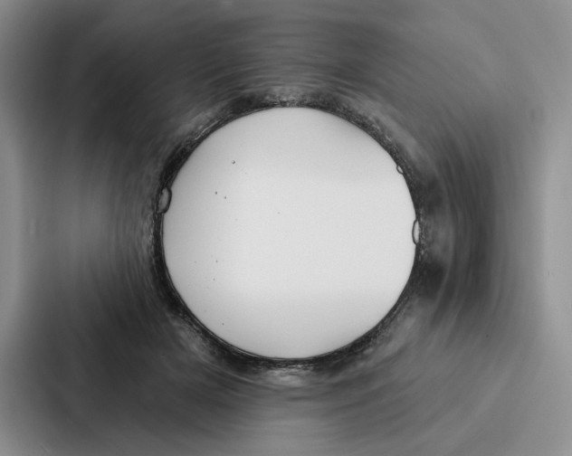 X0000086900505200705141645