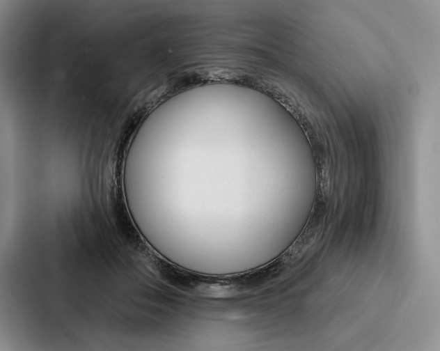 X0000086900506200705141645