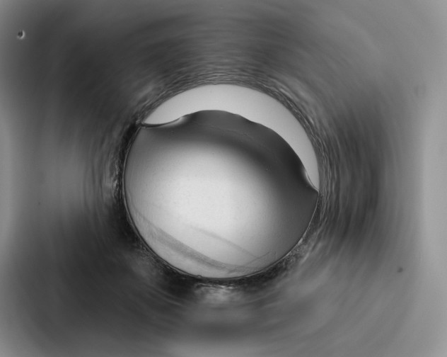 X0000086900507200705141645