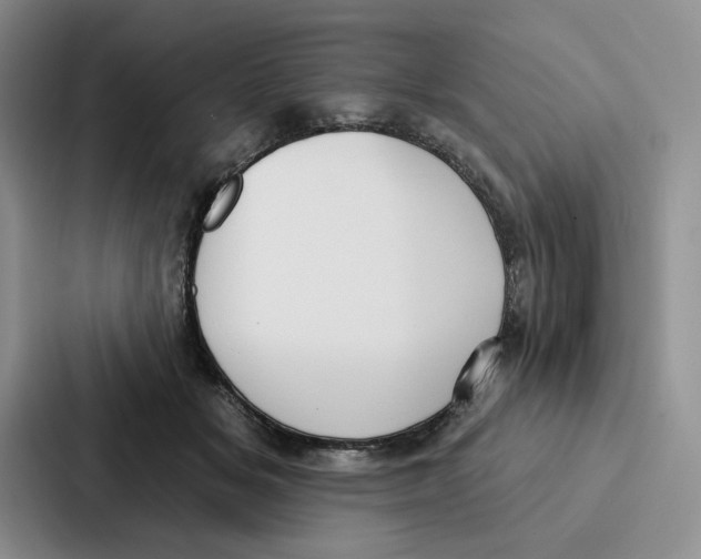 X0000086900509200705141645