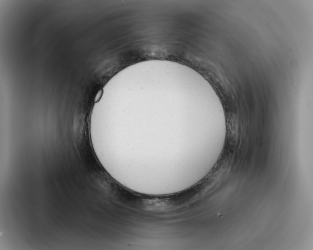 X0000086900511200705141645