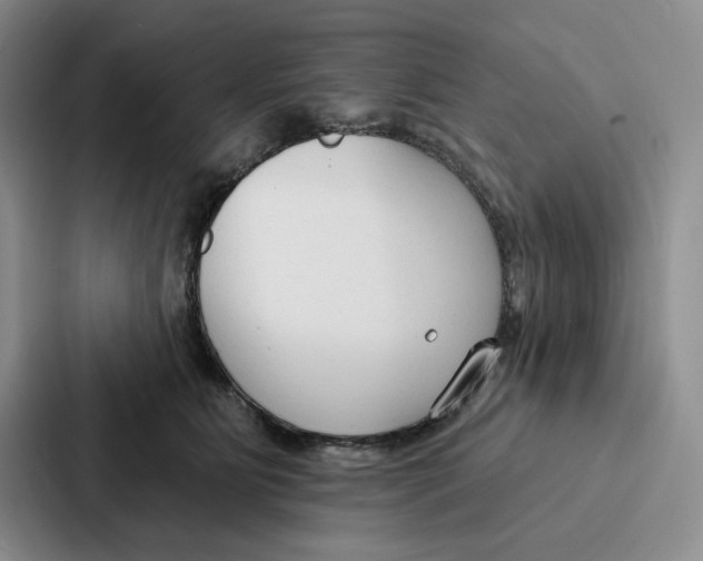 X0000086900515200705141645